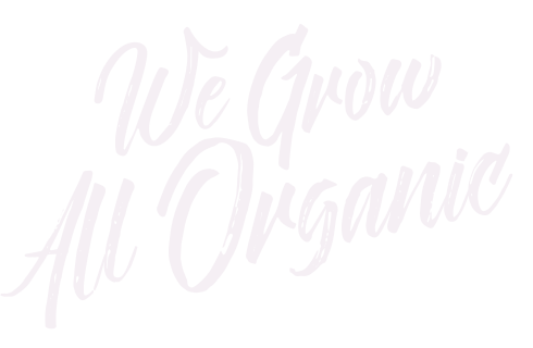 We Grow All Organic